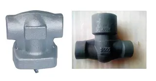 ASTM A105 Forged Valves