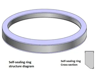 Self-Sealing Ring Structure Diagram & Cross-section