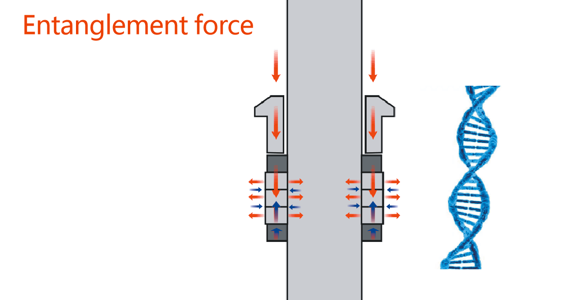 Sealing Packing Entanglement Force vs. Double Helix Structure of DNA