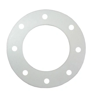 PTFE Gasket