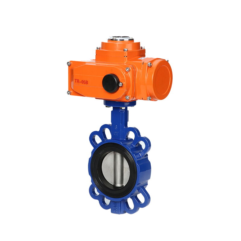 Electric Actuated Butterfly Valve, CS, SS, 1-24 Inch, CL150