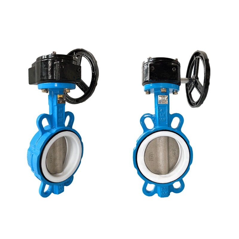 PTFE Seated Butterfly Valve, Worm Gear Operated