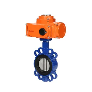 Electric Actuated Butterfly Valve, CS, SS, 1-24 Inch, CL150