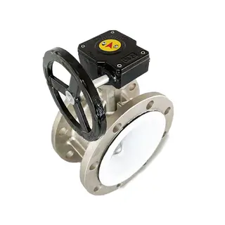 PTFE Seated Butterfly Valve, SS 304, 2-60 Inches, PN10, PN16