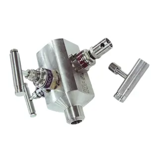 Gauge Root Valve, One Piece, DBB, 1/2-2 Inch, CL150-2500 LB