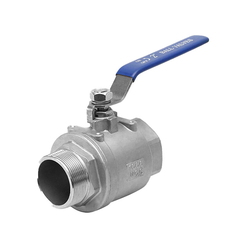 2-Piece Threaded Ball Valve, SS 304, 2 Inch, 1000 WOG, Lever