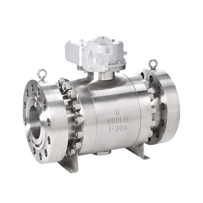 ASTM A182 F304 Ball Valves, ASME B16.34, API 6D, 6 IN, CL900