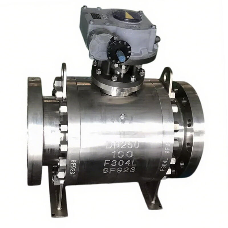 ASTM A182 F304L Ball Valves, API 6D, API 608, DN250, PN100