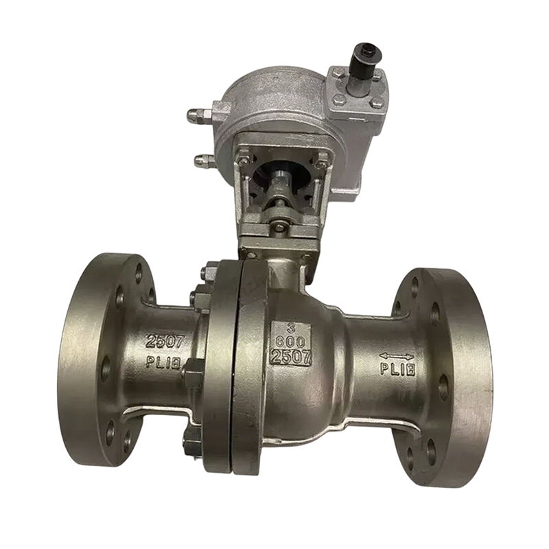 Duplex 2507 Ball Valve, API 6D, 3 Inch, 600 LB, RF, Wormgear