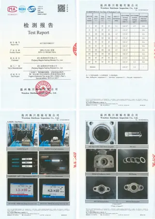 ISO 15848-1 Type Test Report at 400°C