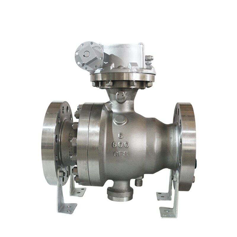 Trunnion Mounted Ball Valve, API 6D, A351 CF8, 6 Inch, CL600