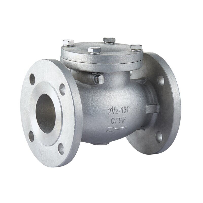 ASME B16.34 Swing Check Valve, A351 CF8M, 2-1/2 Inch, 150 LB