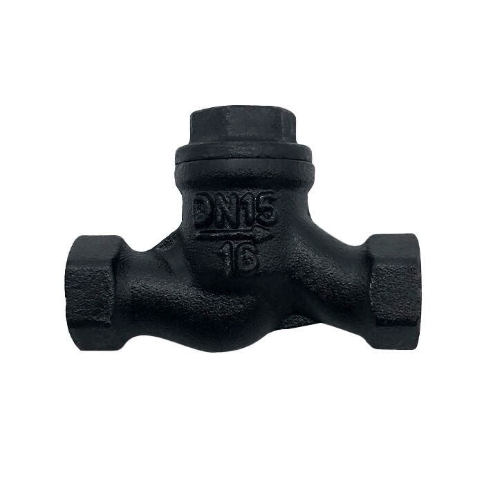 ASTM A216 WCB Lift Check Valves, CS, DN15-DN50, PN16-PN64