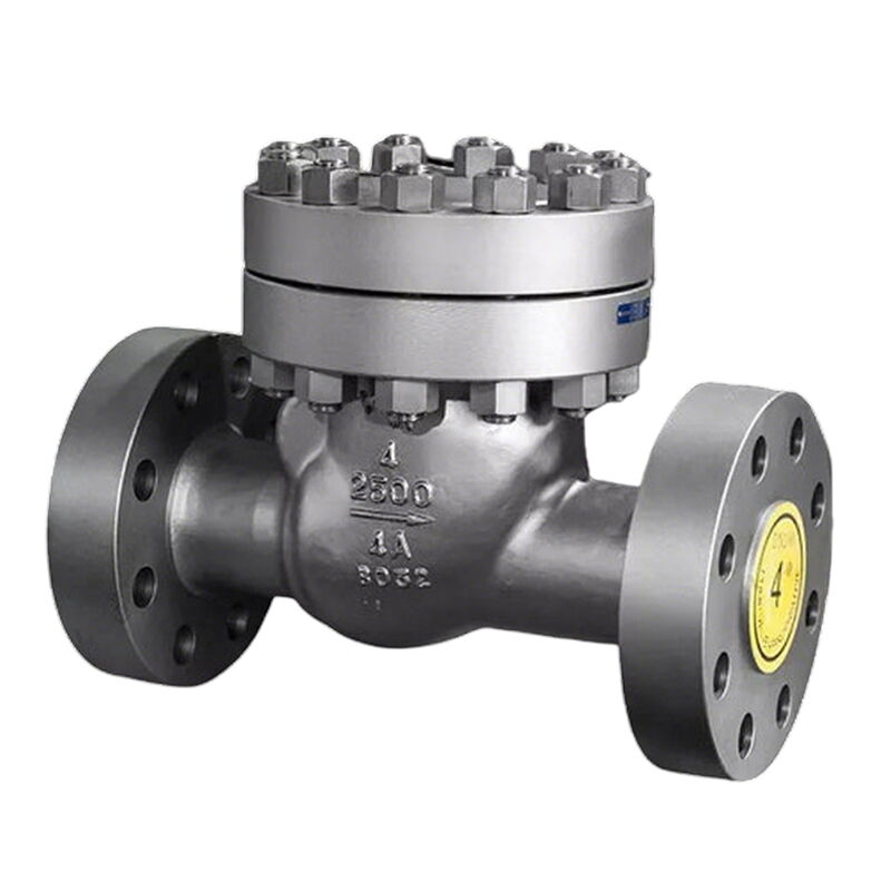 ASTM A995 4A Swing Check Valves, API 6D, 4 Inch, 2500 LB, RF