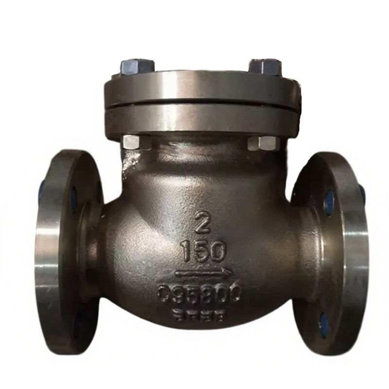 ASTM B148 C95800 Swing Check Valve, API 6D, 2 IN, 150 LB, RF