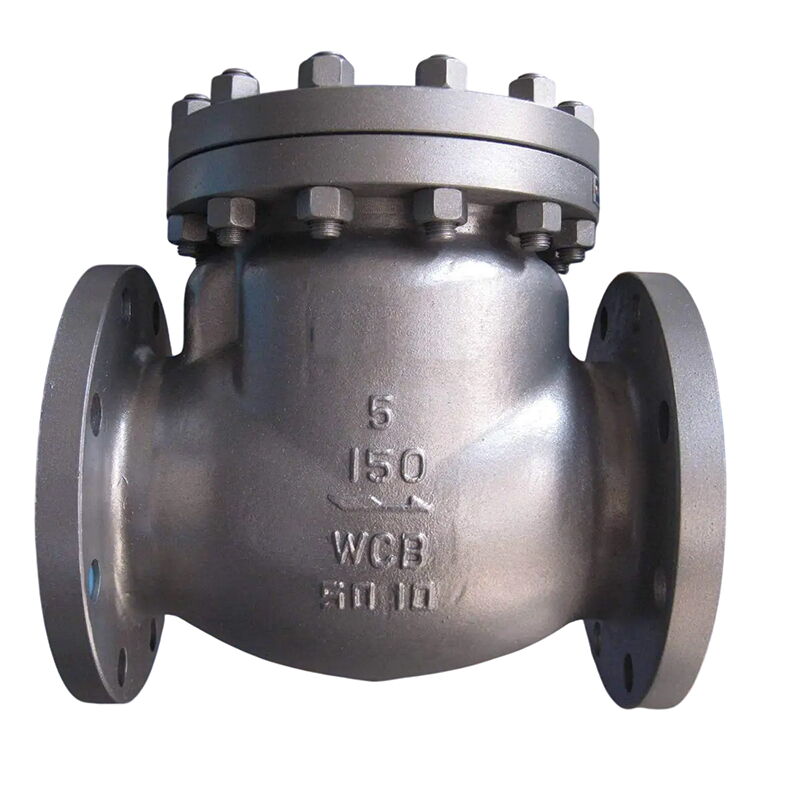 BS 1868 Swing Check Valves, ASTM A216 WCB, 5 Inch, CL150, RF