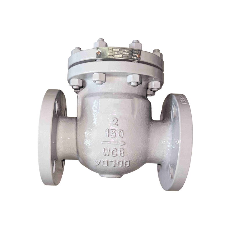 Carbon Steel Swing Check Valve, BS 1868, ASTM A216 WCB, 2 IN