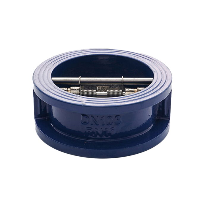DN100 Wafer Check Valve