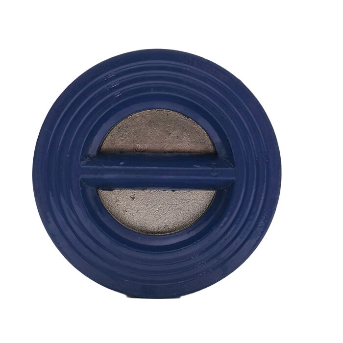 Ductile Iron Wafer Check Valve