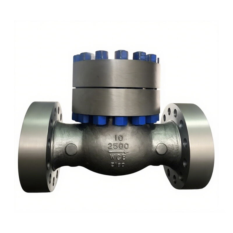 High Pressure Swing Check Valve, API 6D, 10 Inch, CL2500, RF