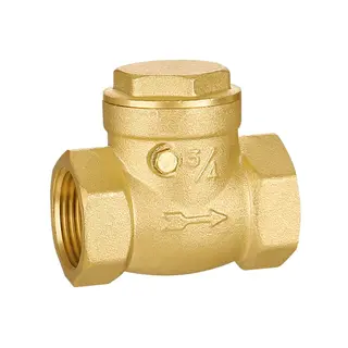 Brass Check Valve, 3/4 Inch, 150 LB, DN20, Threaded Ends