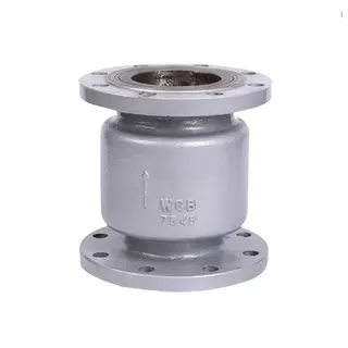 Vertical Check Valve, ASTM A216 WCB, DN15-DN250, PN16, PN25