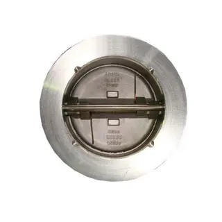 Dual Plate Wafer Check Valve, API 594, ASTM A351 CF8, 8 Inch