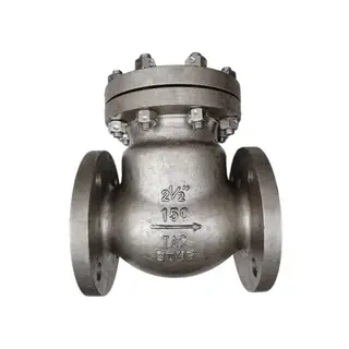 Titanium Alloy Check Valve, BS 1868, TA2, 2-1/2 Inch, CL150