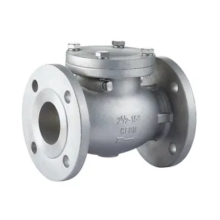 ASME B16.34 Swing Check Valve, A351 CF8M, 2-1/2 Inch, 150 LB