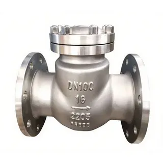 Duplex 2205 Swing Check Valve, ASME B16.34, DN100, PN16, RF