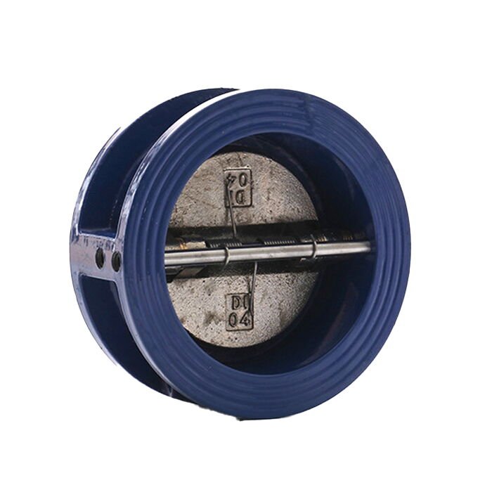 Rubber-Lined Wafer Check Valve