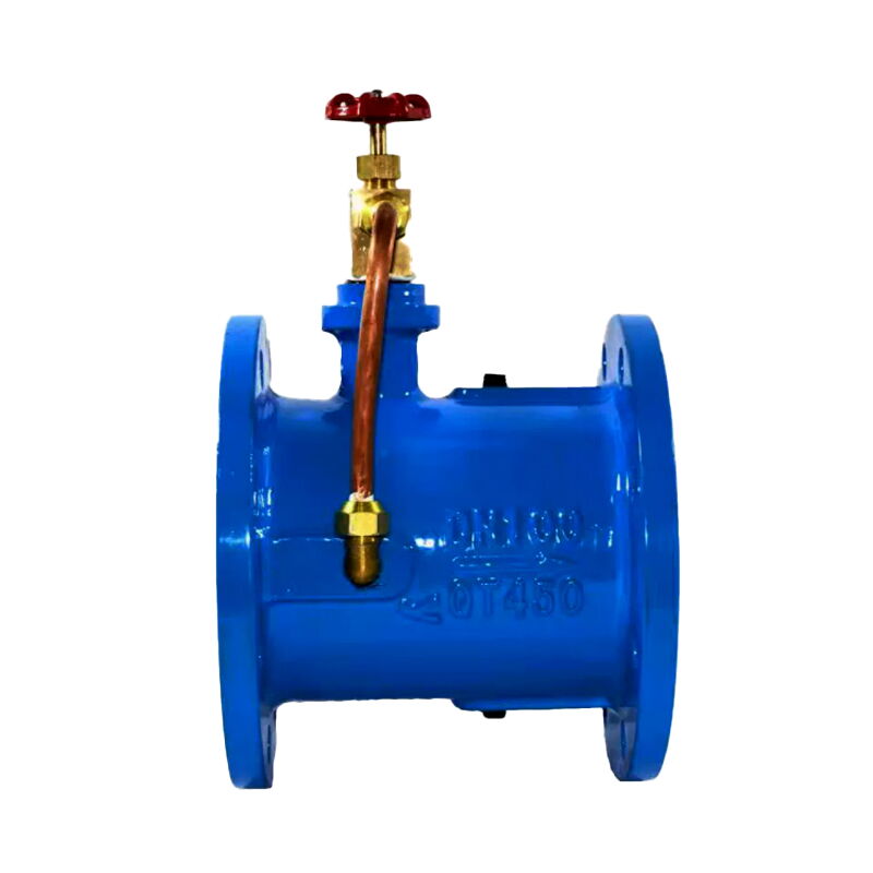 Slow-closing Butterfly Check Valve, DI, QT450, DN100, PN16