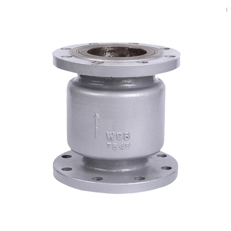 Vertical Check Valve, ASTM A216 WCB, DN15-DN250, PN16, PN25
