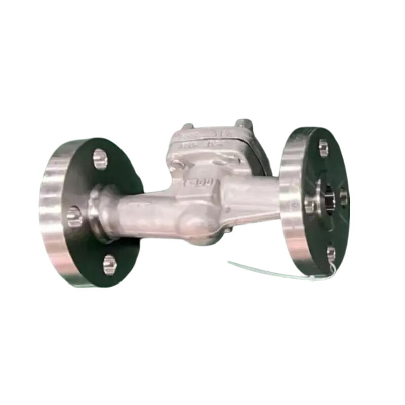 ASTM A182 F316L Lift Check Valve, API 602, 1 Inch, CL300, RF