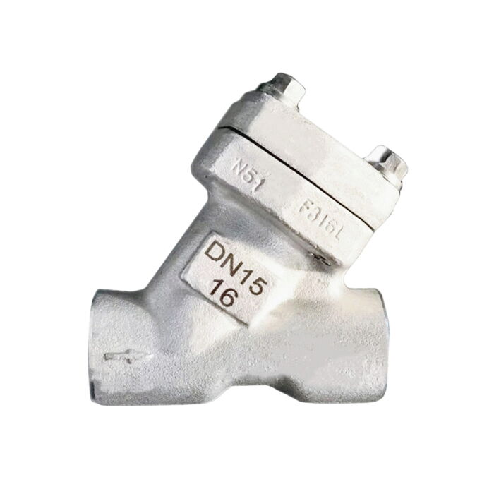 ASTM A182 F316L Y Check Valve, API 602, DN15, PN16, Threaded