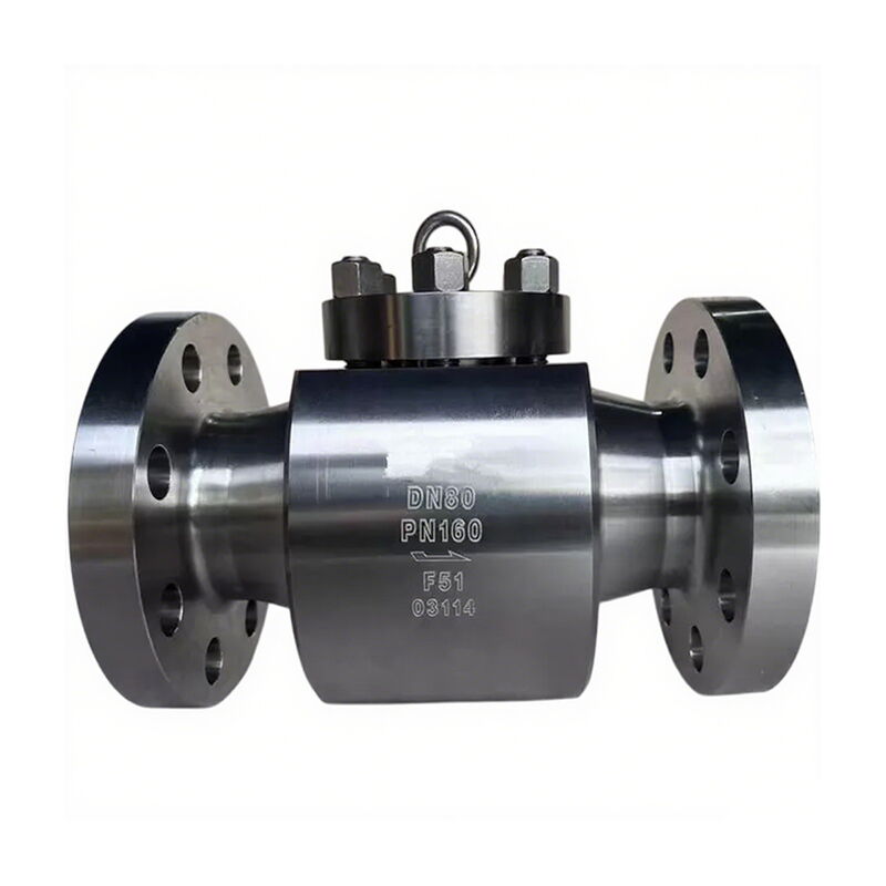 ASTM A182 F51 Lift Check Valve, ASME B16.34, DN80, PN160, RF