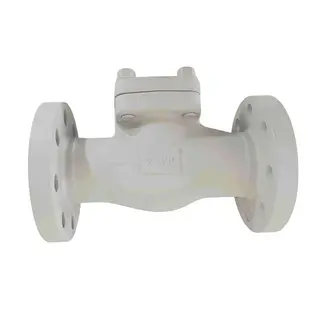API 602 Lift Check Valves, A105N, 2 IN, CL300, Bolted Bonnet