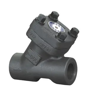 Y Pattern Check Valve, API 602, ISO 15761, ASTM A105N, 1 IN
