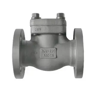 Carbon Steel Lift Check Valve, API 602, A105N, 1.5 IN, CL150