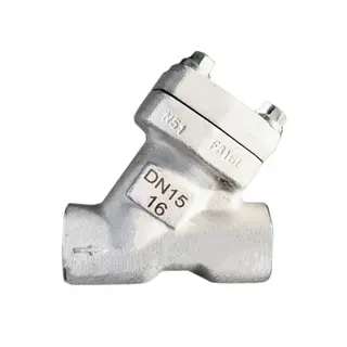 ASTM A182 F316L Y Check Valve, API 602, DN15, PN16, Threaded