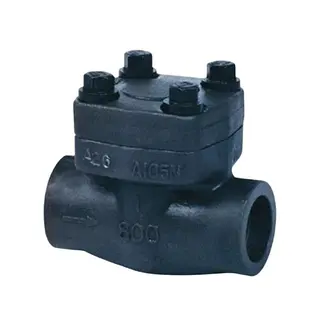 ASTM A105N Check Valve, API 602, 1 IN, 800 LB, Bolted Bonnet