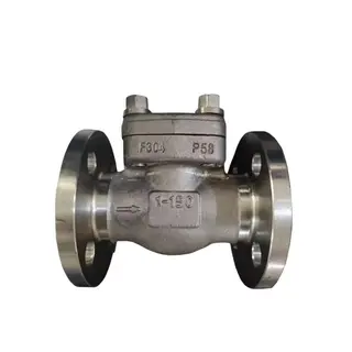 ASTM A182 F304 Check Valve, API 602, 1 Inch, DN25, CL150, BB