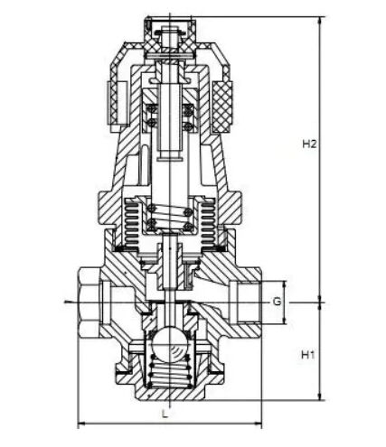 Bellows Type Pressure Reducing Valve Structural Diagram