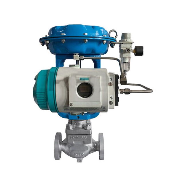 Micro Flow Control Valve, A351 CF8, DN20, PN50, Pneumatic