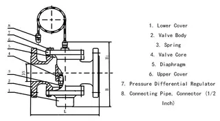 Differential Pressure Control Valve Parts & Materials
