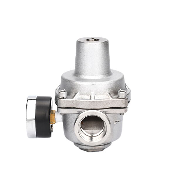 SS 304 Pressure Reducing Valve
