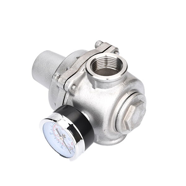 SS 316 Pressure Reducing Valve