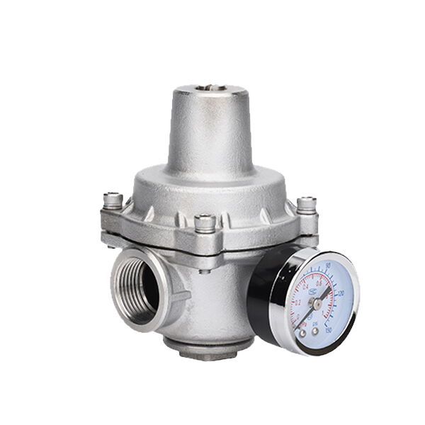 Stainless Steel Pressure Reducing Valve, SS 304/316, 1/2-2 IN