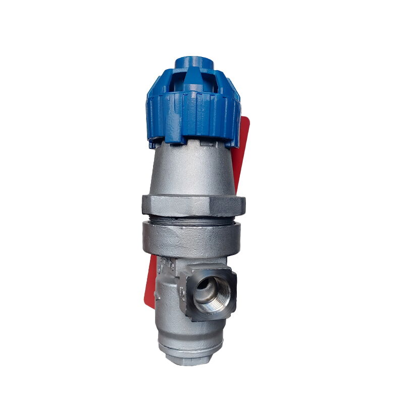 Stainless Steel SS 304 Bellows Type Pressure Reducing Valve
