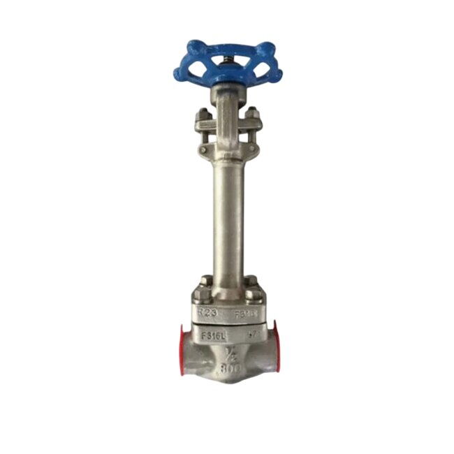 API 602 Cryogenic Gate Valve, BS 6364, A182 F316L, 1/2 Inch